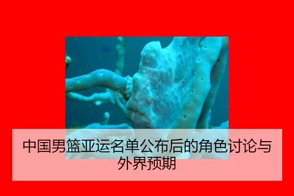 中国男篮亚运名单公布后的角色讨论与外界预期